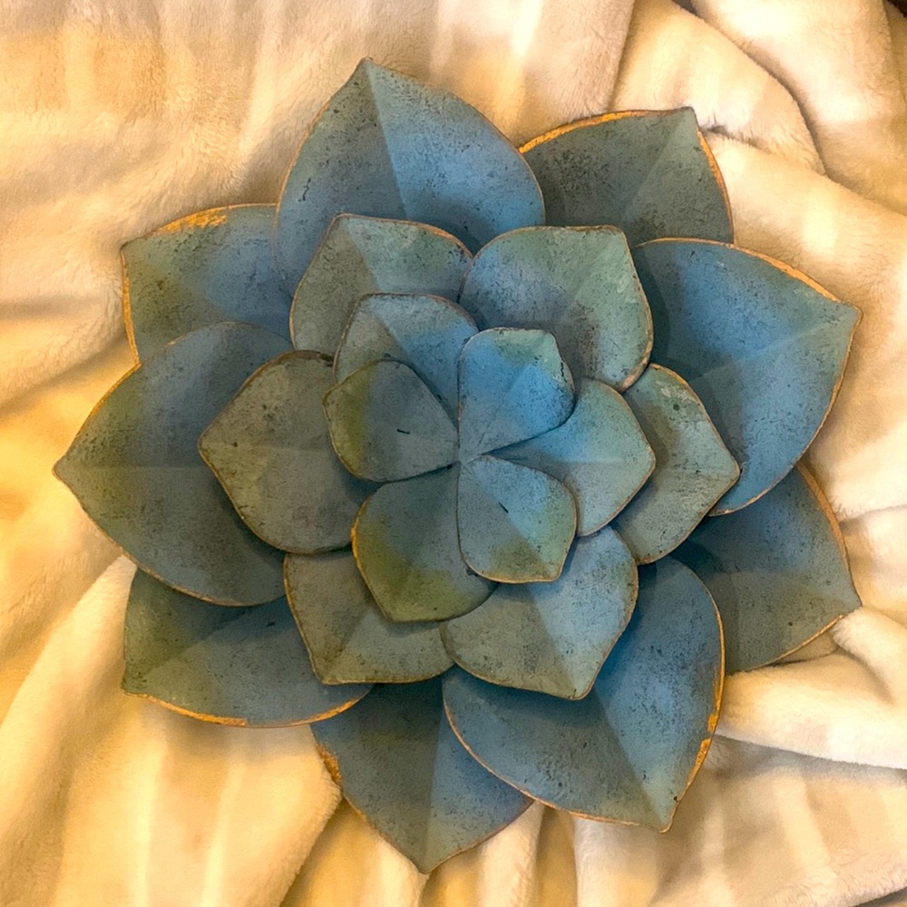 12inX12in succulent wall decor.